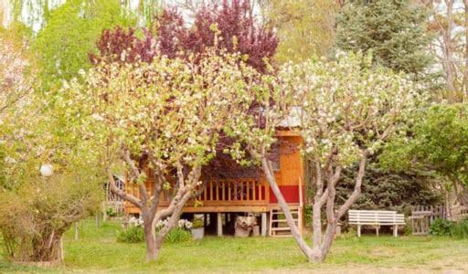 Hosteria La Farfalla Chos Malal Kültér fotó